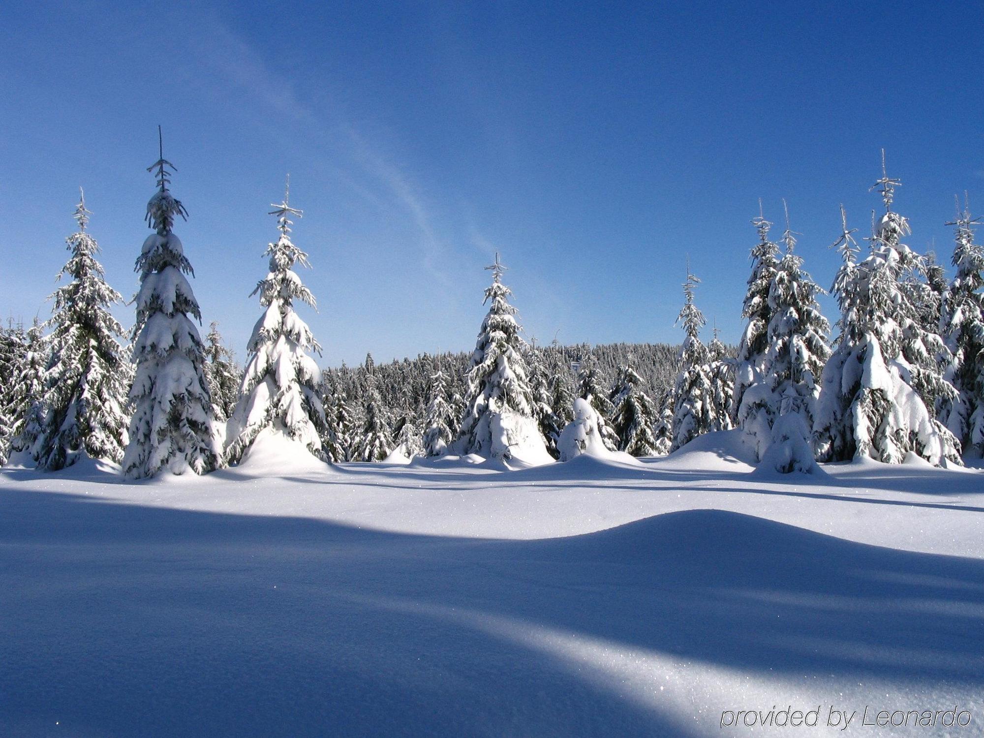 Wagners Sporthotel Oberhof 외부 사진